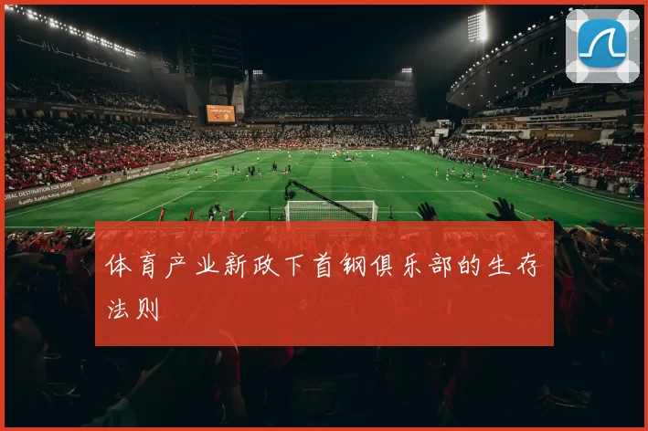 体育产业新政下首钢俱乐部的生存法则